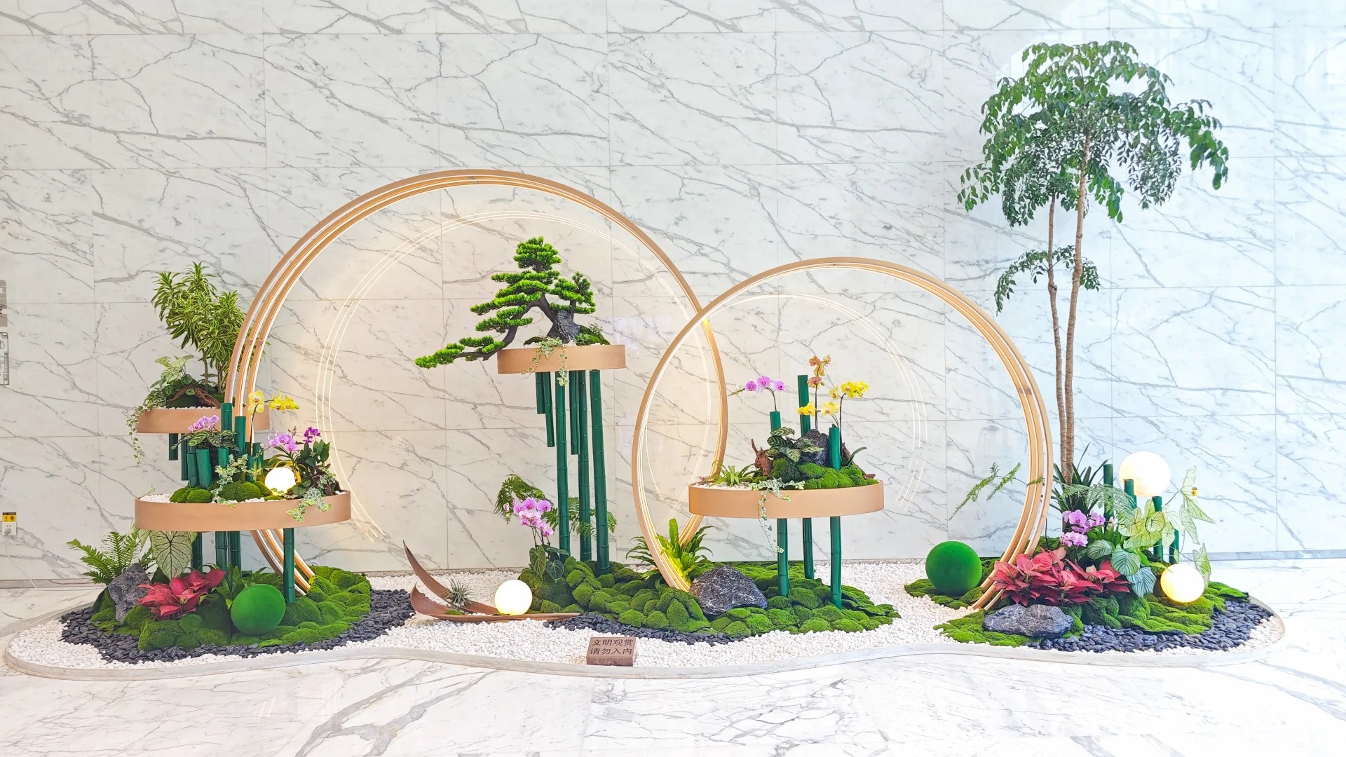 余姚植物租摆超专业，开启室内绿植美化新篇章！