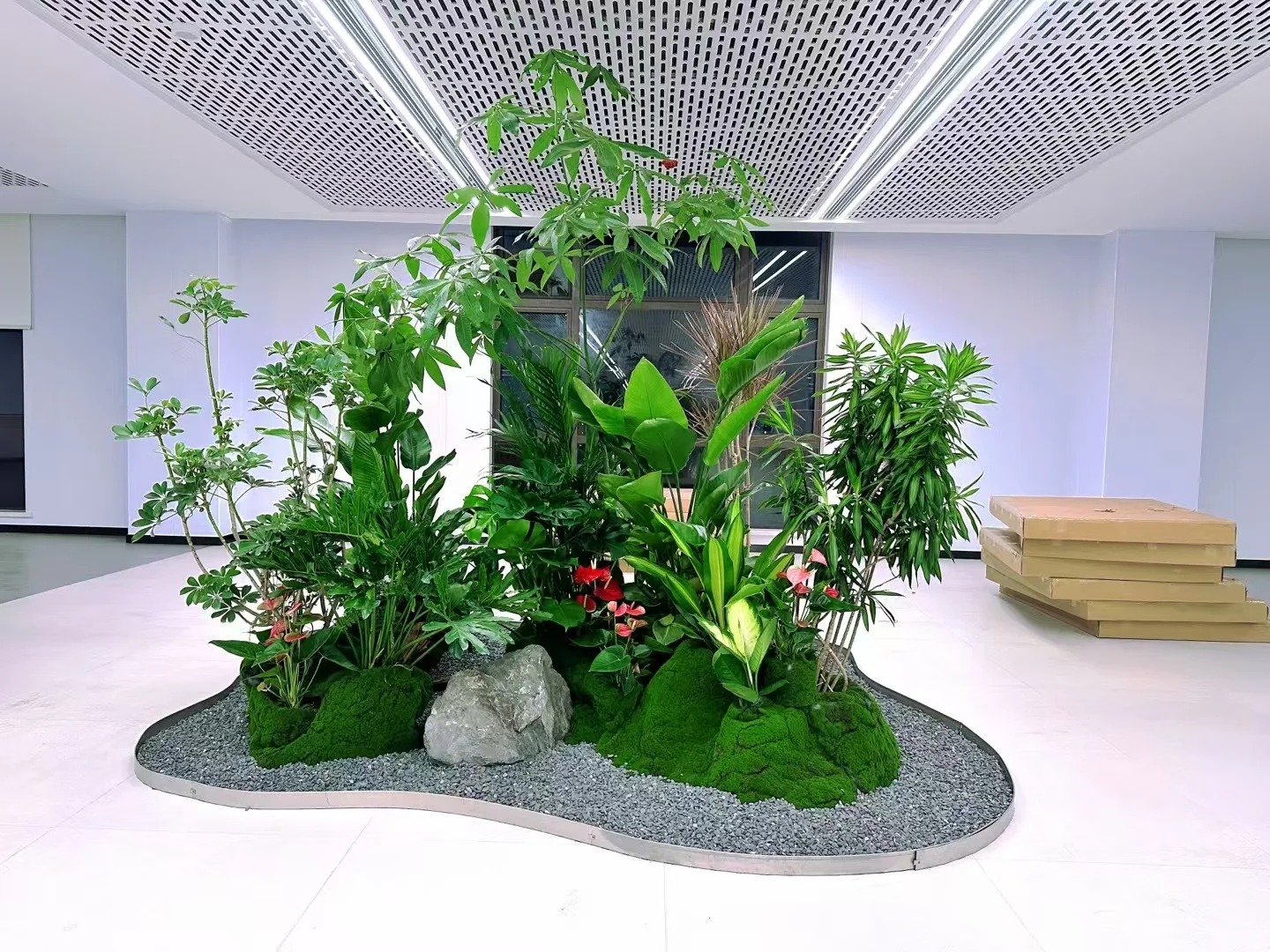 余姚植物租摆超专业，开启室内绿植美化新篇章！